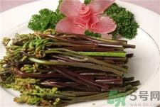 蕨菜的营养价值 蕨菜的功效与作用