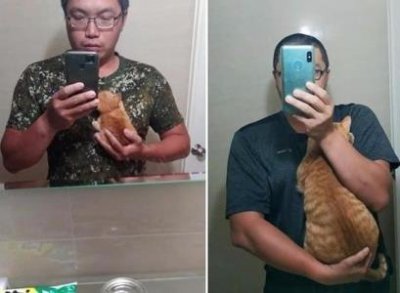 ​纯种英短猫的7大特征，很多都买到串了