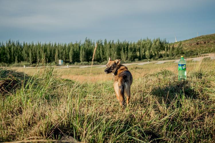 生活图片真实生活图片 简单干净的风景图片