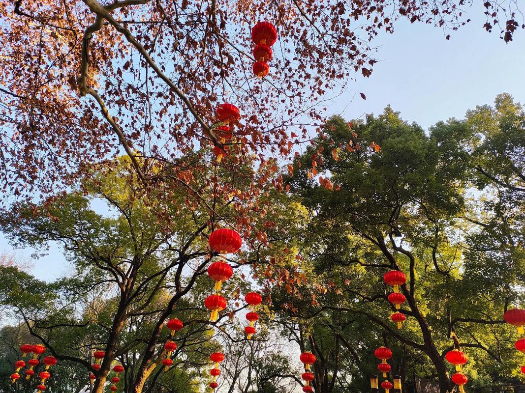 生活图片真实生活图片 简单干净的风景图片