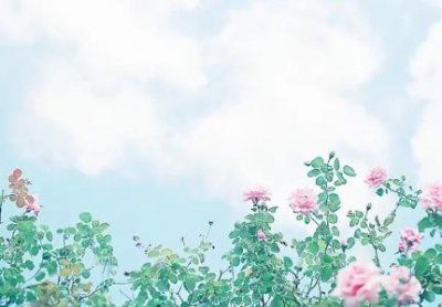 ​全国五金批发市场最大最齐全的在什么地方 ？全国各地五金批发市场