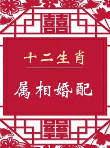 ​头撞南墙最佳生肖（头撞南墙最佳生肖解读）
