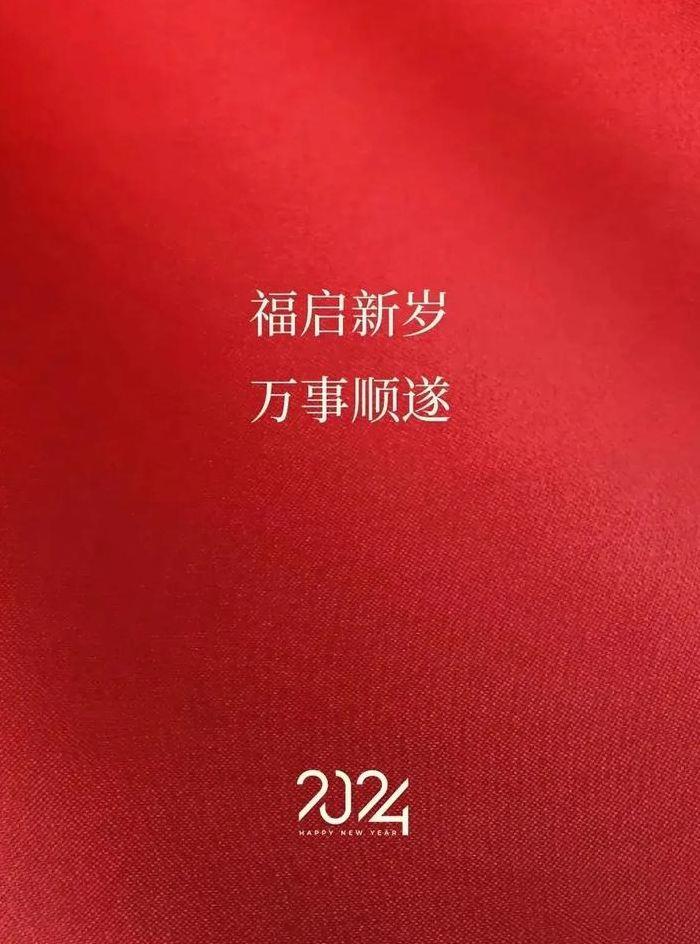 值此新春佳节之际（值此新春佳节之际,我谨代表党中央）