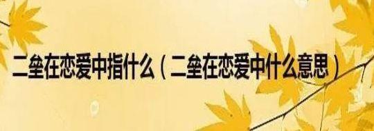 二垒是什么意思（二垒是什么意思恋爱）