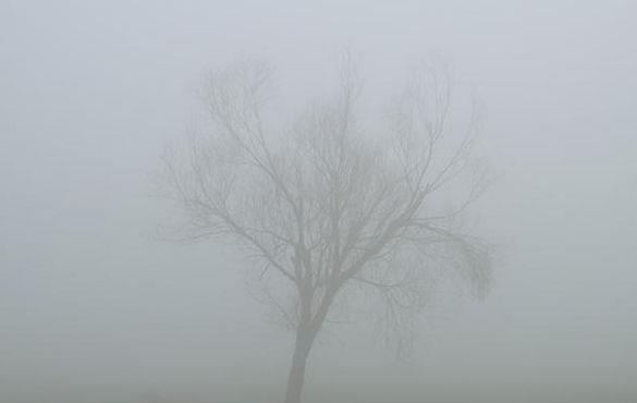 一什么大雾(一什么大雾量词)