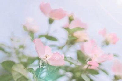 ​淘宝1000元保证金怎么没有了淘宝店铺没了保证金1000退不了