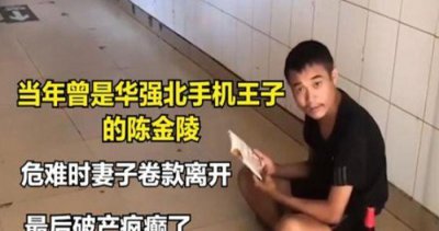 ​华强北陈金凌个人资料（华强北陈金凌以前的照片）