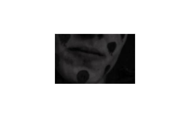 婚后撕X会很严重的星座配对