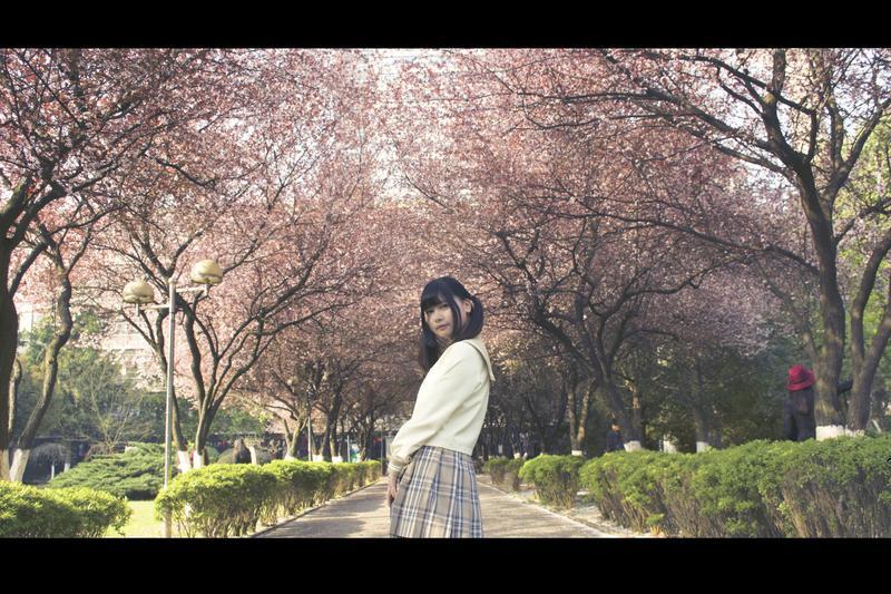 女人在男人心中的百分比，就是他爱你的分量