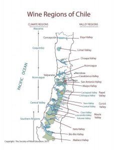 ​智利葡萄酒酒标主要是( )(智利葡萄酒酒标解读)