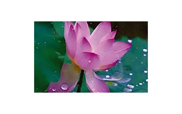 老公和有夫之妇约会,被人家老公发现了 老公和有夫之妇约会,被人家老公发现了