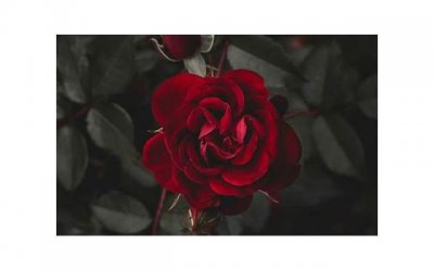 ​怎样说话幽默，三个说话幽默的技巧