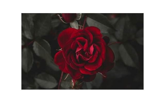 怎样说话幽默,三个说话幽默的技巧 怎样说话幽默,三个说话幽默的技巧