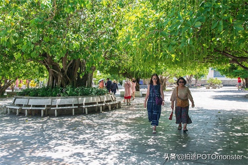 #在家云旅游#越南岘港山茶半岛