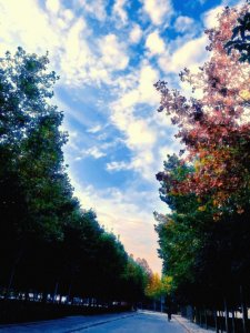 ​「推文合集」23本腹黑男主文