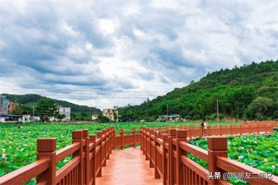 ​增城1天游，莲塘乡村骑行寻美食，1978创意园拍美照，探畲族村