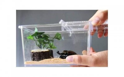 ​去游泳池游泳会得性病吗