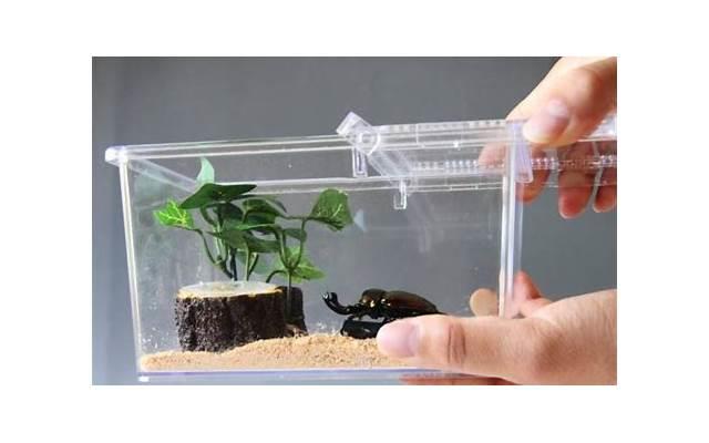 去游泳池游泳会得性病吗 去游泳池游泳会得性病吗