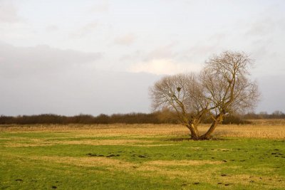 ​辨析：be famous for, be famous as与be famous to