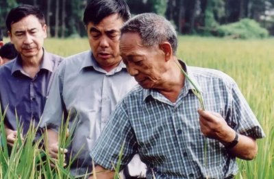 ​为什么袁隆平是美国科学院院士，但却非中科院院士呢？答案来了