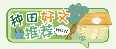 ​种田文推荐！5本高质量种田文，发家致富、悠闲生活两不误