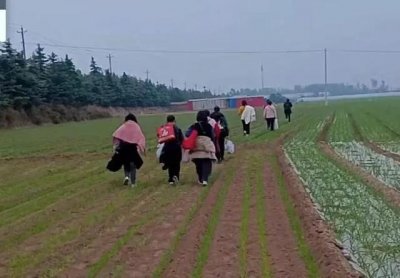 ​富士康徒步返乡者，你的下一站是哪里？