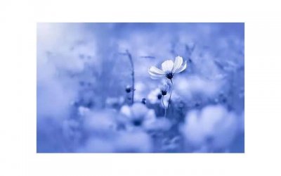 ​外甥女结婚送什么礼物好