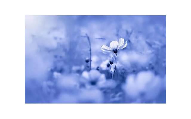 已婚妇女梦到自己怀孕预示什么(结婚女性梦到自己怀孕是什么意思)