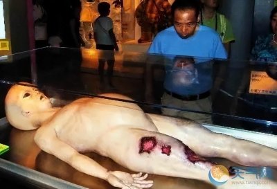 ​最新：美国揭秘外星人真实面目及事件