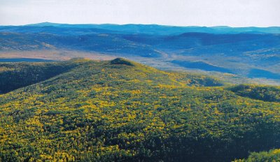 ​泰加林：中国森林最北的重要拼图（1）