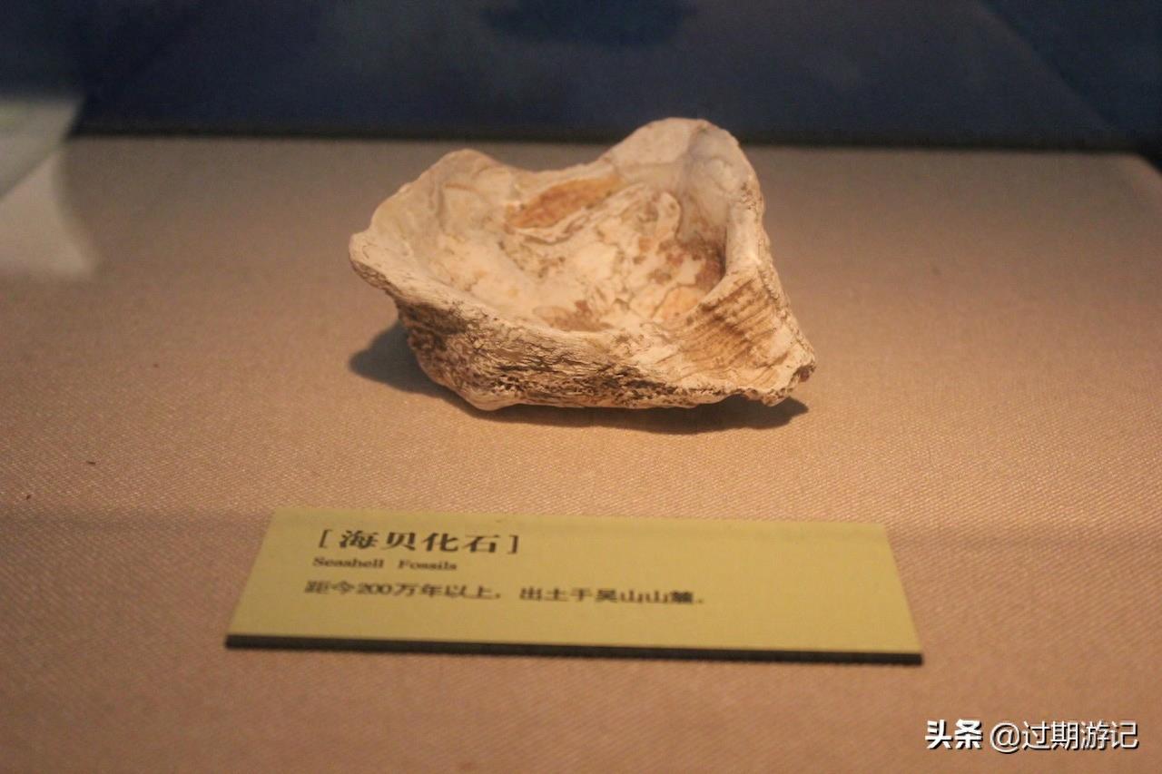 最秀色可餐的博物馆:中国杭帮菜博物馆