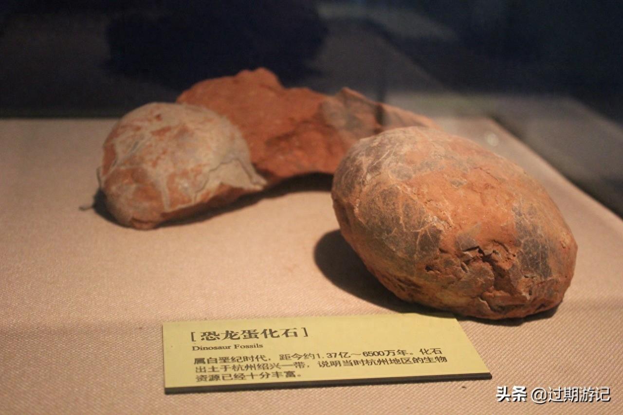 最秀色可餐的博物馆:中国杭帮菜博物馆