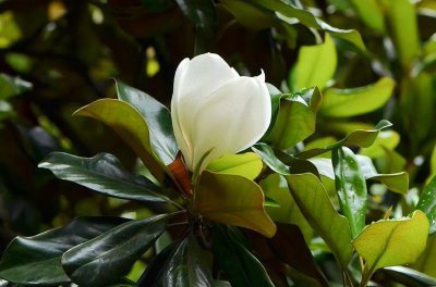 ​恋爱攻略：九大妙招教你轻松维持异地恋