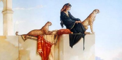 ​后知后觉聊直播