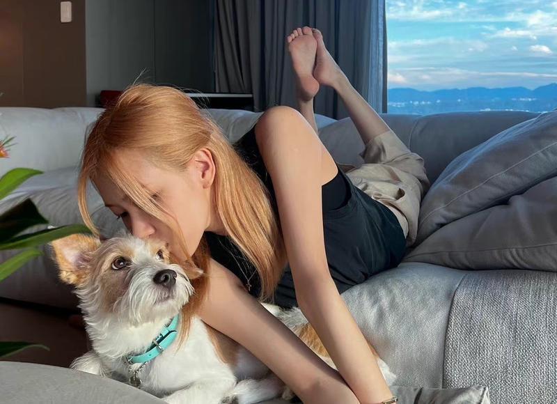  公公偏向小姑子怎么办