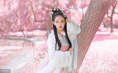 ​小说：长公主命悬一线，重生嫡女把她当复仇的助力，力挽狂澜相救