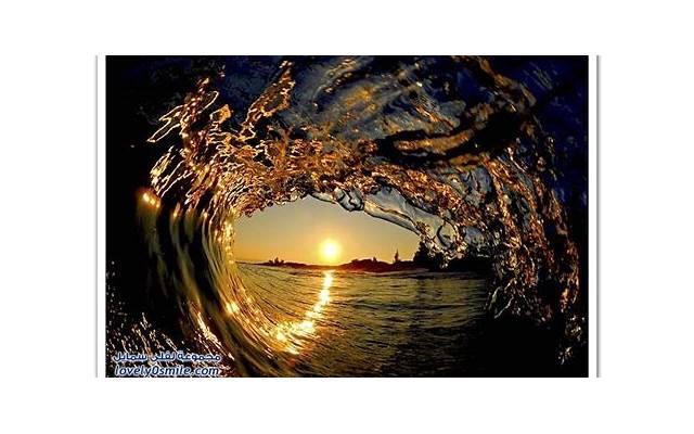 回避型人格恋爱初期怎么办