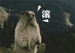 赵韩樱子老公(赵韩樱子现实老公) 赵韩樱子 老公 第19张