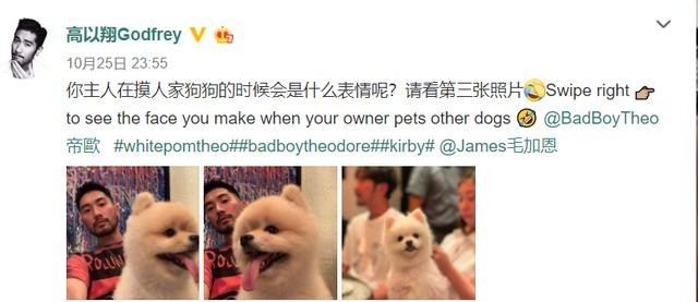 范玮琪和黑人是形婚吗(范玮琪黑人相爱17年)