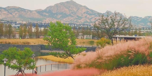 阿朵花屿小镇在哪里(阿朵花屿在藏马山哪里) 阿朵 花屿 第1张 阿朵花屿小镇在哪里(阿朵花屿在藏马山哪里) 阿朵 花屿 第1张