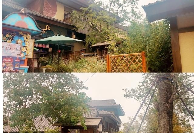 阿朵花屿小镇在哪里(阿朵花屿在藏马山哪里) 阿朵 花屿 第12张 阿朵花屿小镇在哪里(阿朵花屿在藏马山哪里) 阿朵 花屿 第12张