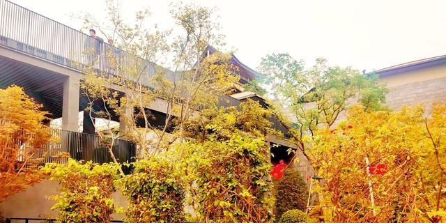 阿朵花屿小镇在哪里(阿朵花屿在藏马山哪里) 阿朵 花屿 第13张 阿朵花屿小镇在哪里(阿朵花屿在藏马山哪里) 阿朵 花屿 第13张