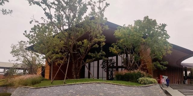 阿朵花屿小镇在哪里(阿朵花屿在藏马山哪里) 阿朵 花屿 第6张 阿朵花屿小镇在哪里(阿朵花屿在藏马山哪里) 阿朵 花屿 第6张