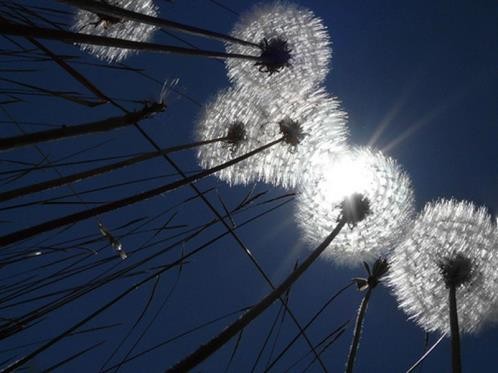 晒女儿朋友圈说说