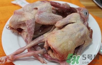 鸽子肉好吃吗?鸽子肉的营养价值及功效