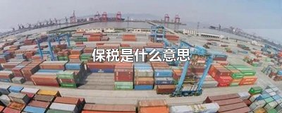 ​保税是什么意思