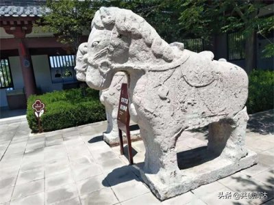 ​为什么说高陵的历史源远流长？