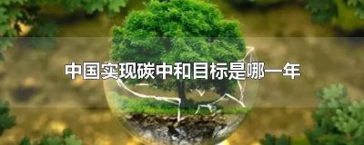 ​中国实现碳中和目标是哪一年