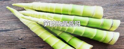 ​笋的热量高吗