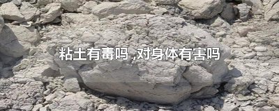 ​粘土有毒吗 ,对身体有害吗